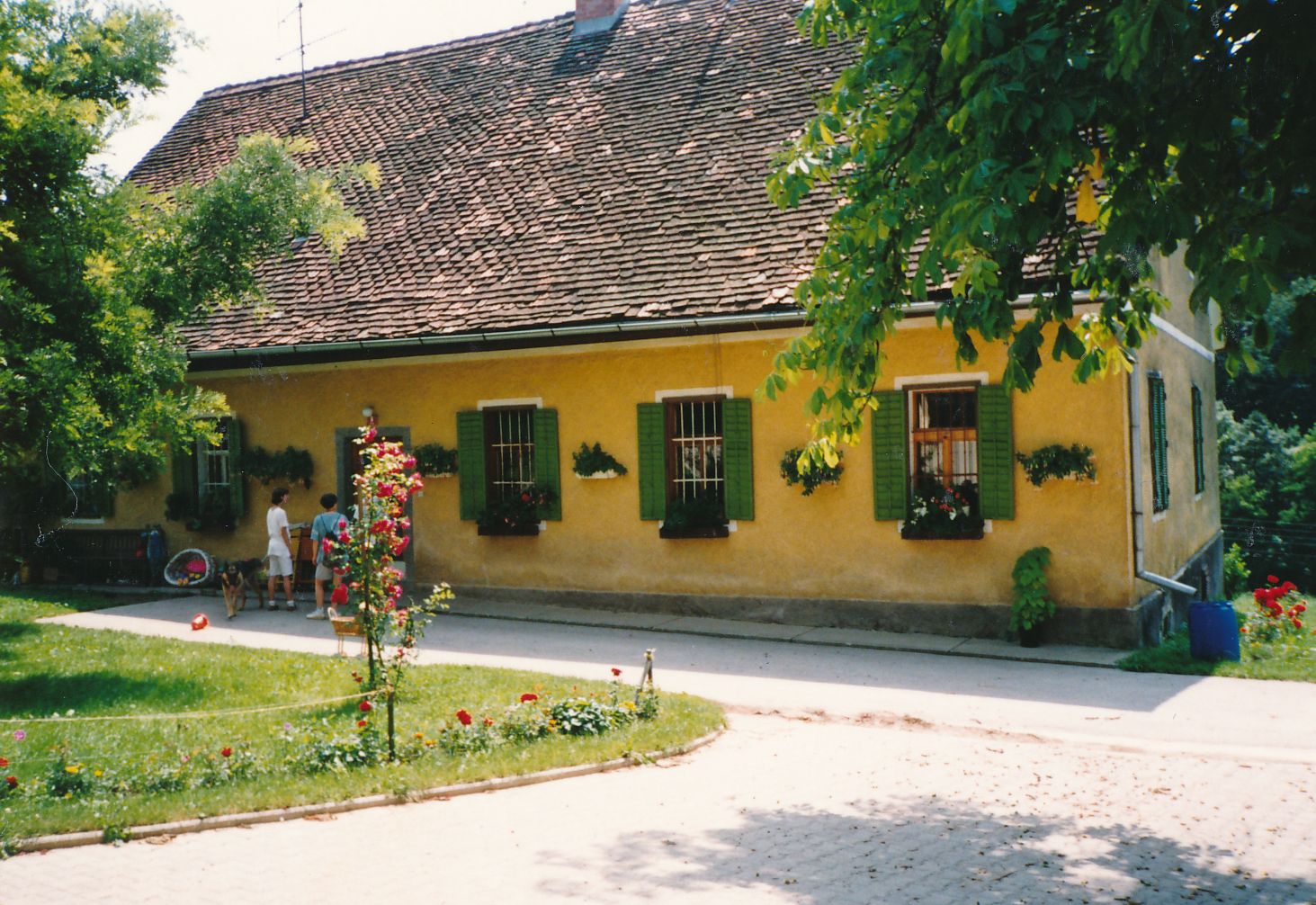 eika image